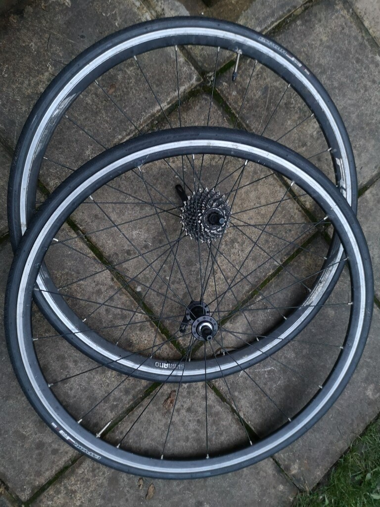 specialized inner tubes 700c